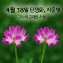 자운영 이미지