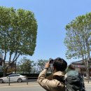 만두세끼 이미지