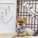 지개동산 이미지