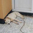 연우민박 이미지