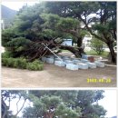 죽장초등학교상옥분교장 이미지