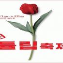 2025 섬 홍매화축제 이미지