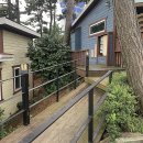 두바다찬솔 이미지