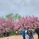 불국사상가시장 | (불국사카페) 불국사상가시장 한옥카페 &#34;코지브릭&#34; 내돈내산후기, 까눌레맛집