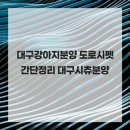 대구강아지분양 도로시펫 | 대구강아지분양 도로시펫 간단정리 대구시츄분양
