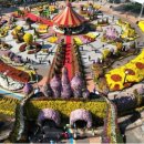 2025 대한민국 국향대전 신문보도 자료 25.10.29.수. 이미지