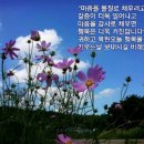 오늘은!맑음