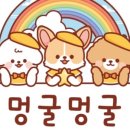 멍굴멍굴 이미지