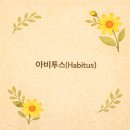 아비투스 HABITUS | 아비투스(Habitus)“취향”이 아닌, 삶을 해석하는 방식