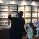 파주나비나라박물관 이미지