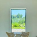 세종로 45번길 이미지