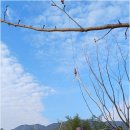 덕계북길 이미지