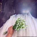 [피팅 후기] 대구웨딩샵, 웨딩모니크(아름다운 드레스와 함께 하는 본식 드레스 피팅)