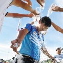 그린골프스크린 이미지