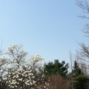천지야식