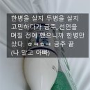 로얄카센타 | 62번