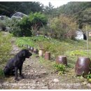 숙이농장 이미지