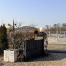 아이조아펜션 이미지