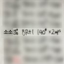 749 | 250318 크로스핏 749회차 후기 [wall ball shot, ring muscle up(chest to bar pull up) / back squat...