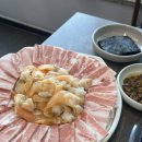 핑크브로콜리 | [부산 명지 맛집] 쯔양이 선택한 부산맛집 갈미조개 맛집 "삼성갈미조개" 내돈내산 후기