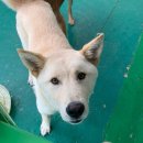 적량면사무소 이미지