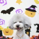 샵 세린파크 이미지