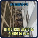 비둘기호텔 | 비둘기호텔 실외기실 털 둥지 배설물똥 청소비용