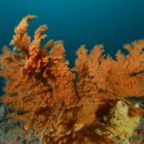 서천 구 장항미곡창고 이미지