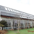 뮌스터담 이미지