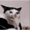 우먼피아여성병원 이미지