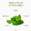 어바웃허브다이어트 | 로즈마린산 레몬밤알약먹는법 CJ헬스케어 비타마트 레몬밤 섭취 후기