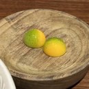 시도 | [칸쿤 스칼렛아르떼] 아레날, 치노포블라노, 타시도, 엔칸타 레스토랑 후기