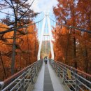 금정산업주식회사 이미지