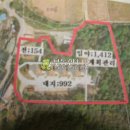 김삿갓면-32 Daum카페