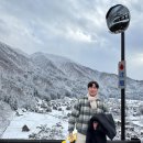 월현마을입구~산촌마을 | 일본 겨울여행 추천 나고야 시라카와고 전망대 포토존 실시간 날씨 cctv 눈 확인