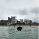 데이숍 | 부산 송정 해수욕장 서핑 데이서프 숍 추천!! 서핑 준비물, 서핑 강습 내돈내산 후기