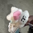 밝은미소스토어 | 대구 핫플 추천, 더현대 ‘오늘의 귀여움’ 팝업스토어 완벽 후기(굿즈부터 이벤트까지!)