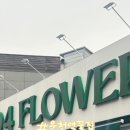 1004플라워 이미지