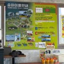 인화공원 화장실 2 | 제주 중문승마공원 아이랑 승마 체험, 역대급 바다뷰 후기!