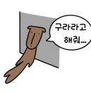 신금분식