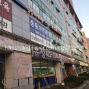 카이로바른척추교정 이미지