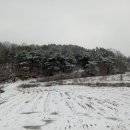 터골농장 이미지