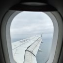 건일농장 | 여행기록★ 4살아이와 함께 제주여행 ★(feat. 로그밸리펜션 제주숙소)