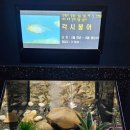 섬진강어류생태관 이미지