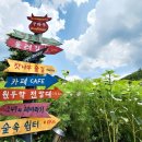 태백구와우구와우카페