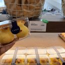 베이킹(야간) | 정관 초대형 카페 추천! 부산 야간관광 명소 선정에 빛나는 [탄티] 정보 및 후기!