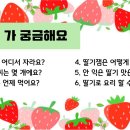 딸기 프로젝트(딸기 관찰하기, 딸기게임) 이미지