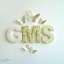 GMS(지엠에스)