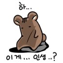 남문행정사사무소 이미지