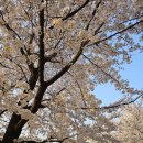 천하카수리센타 | 벤츠 e220d 브레이크 마모 점검 수리 가능한곳, 디스크패드 지오카